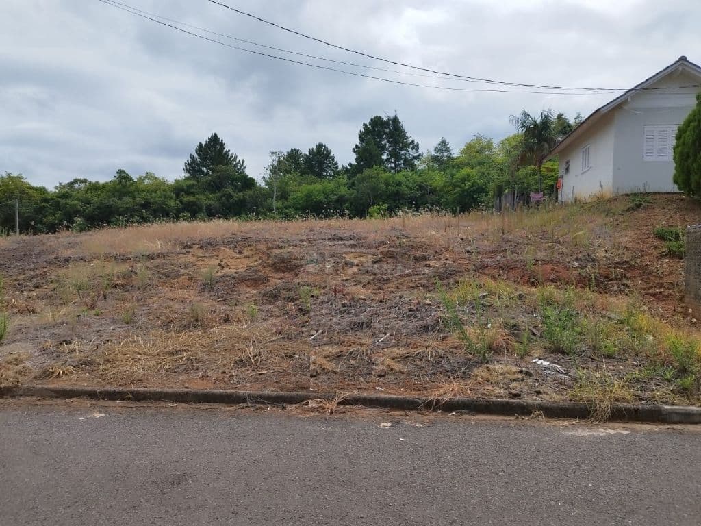 Venda de Terreno / Padrão na cidade de Santa Cruz do Sul