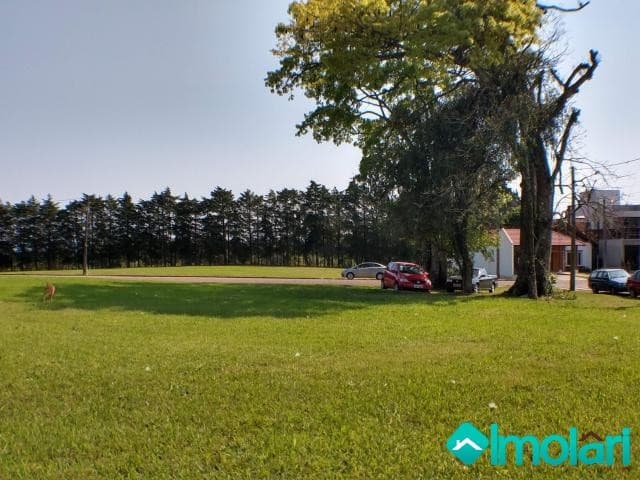 Venda de Terreno / Padrão na cidade de Santa Cruz do Sul