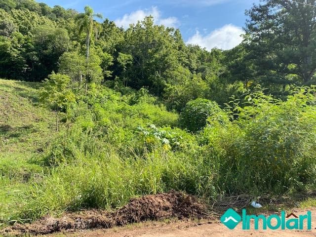 Venda de Terreno / Padrão na cidade de Santa Cruz do Sul