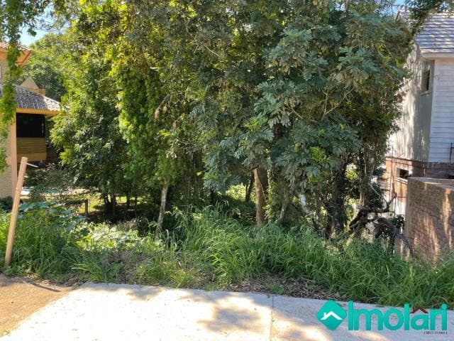 Venda de Terreno / Padrão na cidade de Santa Cruz do Sul