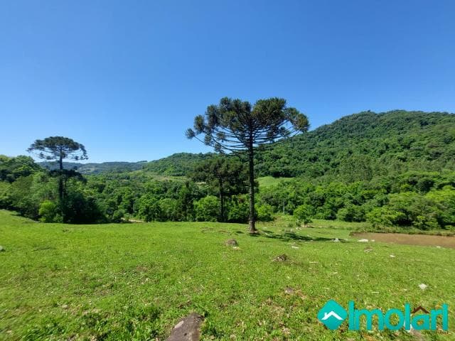 Venda de Terreno / Área na cidade de Santa Cruz do Sul