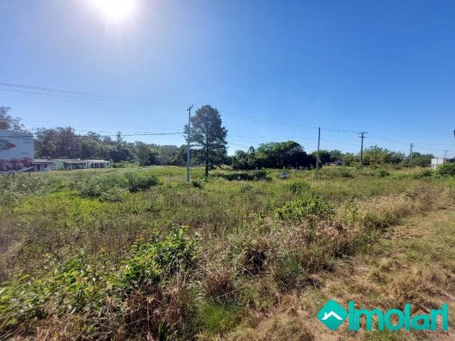 Venda de Terreno / Padrão na cidade de Santa Cruz do Sul