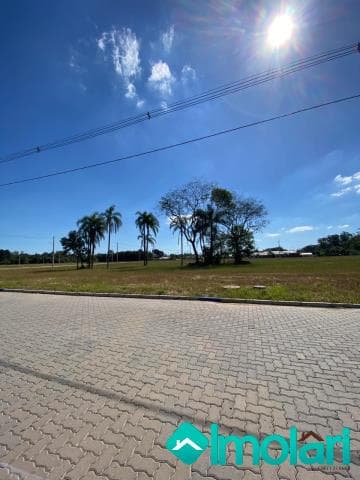 Venda de Terreno / Padrão na cidade de Vera Cruz