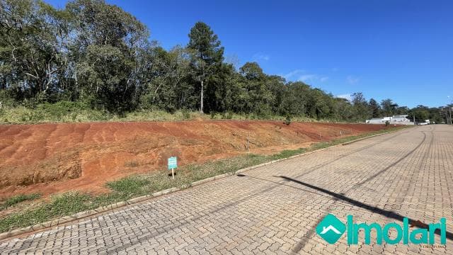 Venda de Terreno / Padrão na cidade de Santa Cruz do Sul