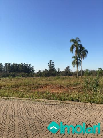 Venda de Terreno / Padrão na cidade de Vera Cruz
