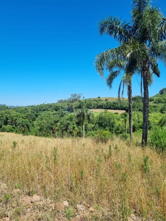 Venda de Rural / Chácara na cidade de Santa Cruz do Sul