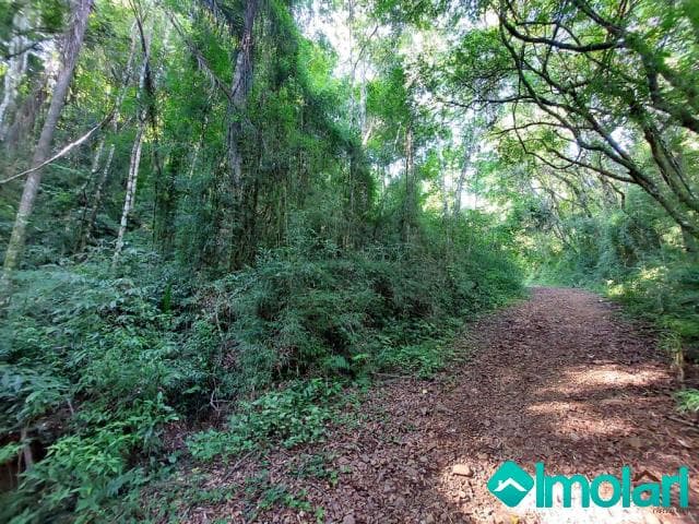 Venda de Rural / Chácara na cidade de Santa Cruz do Sul