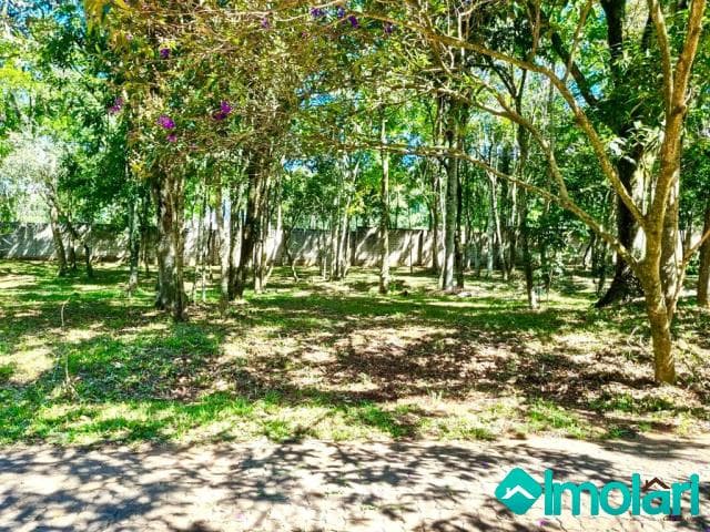 Venda de Terreno / Padrão na cidade de Santa Cruz do Sul