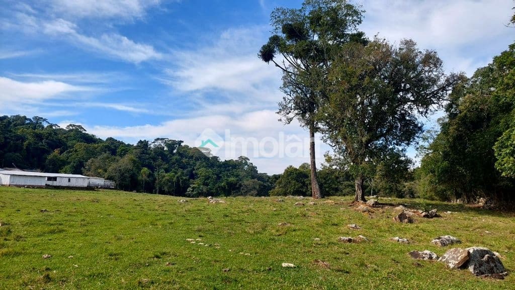 Venda de Rural / Chácara na cidade de Santa Cruz do Sul