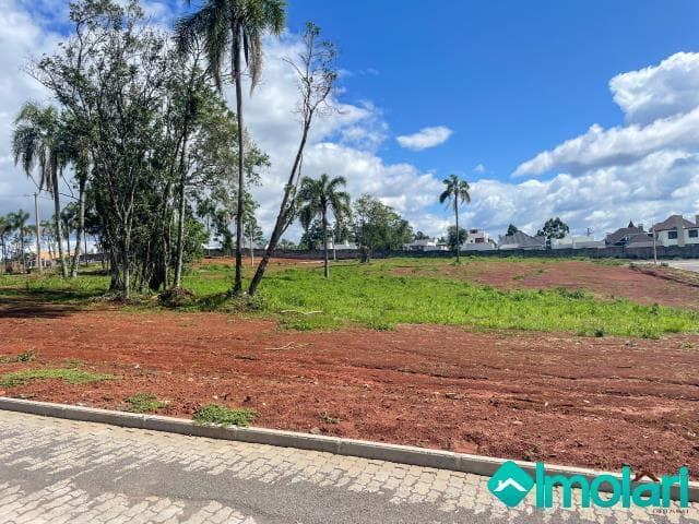 Venda de Terreno / Padrão na cidade de Santa Cruz do Sul