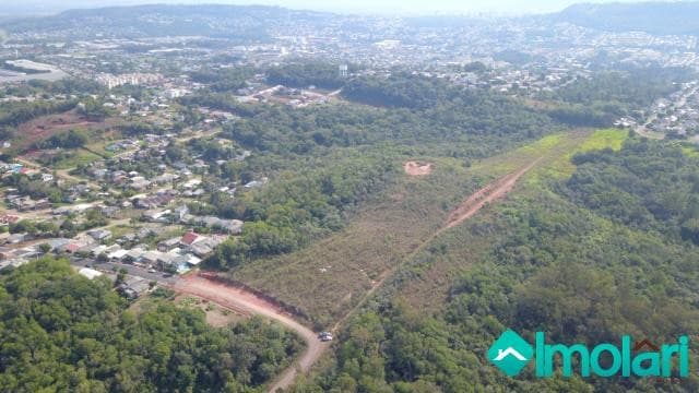 Venda de Terreno / Padrão na cidade de Santa Cruz do Sul