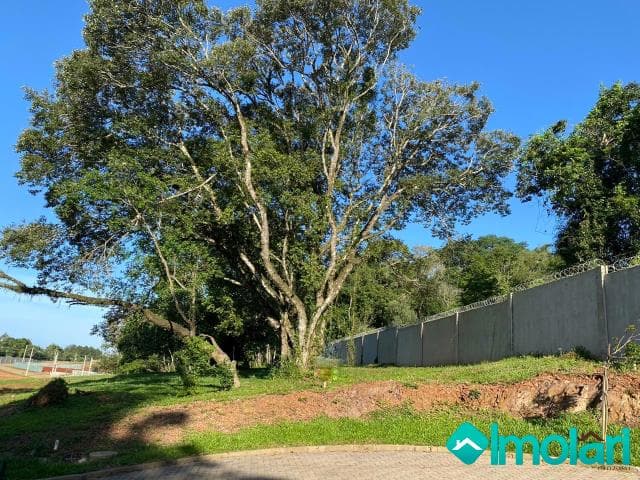 Venda de Terreno / Padrão na cidade de Santa Cruz do Sul