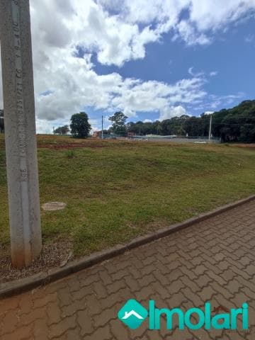 Venda de Terreno / Padrão na cidade de Santa Cruz do Sul