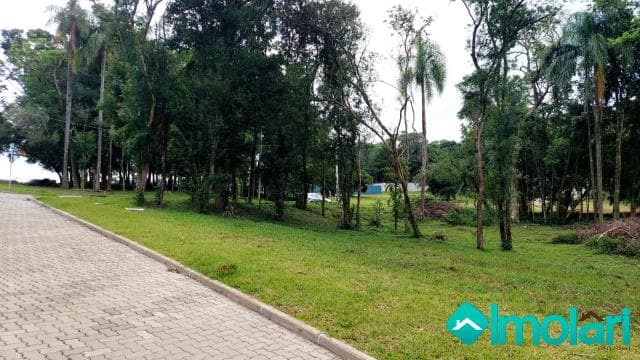 Venda de Terreno / Padrão na cidade de Santa Cruz do Sul