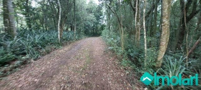 Venda de Terreno / Área na cidade de Vera Cruz