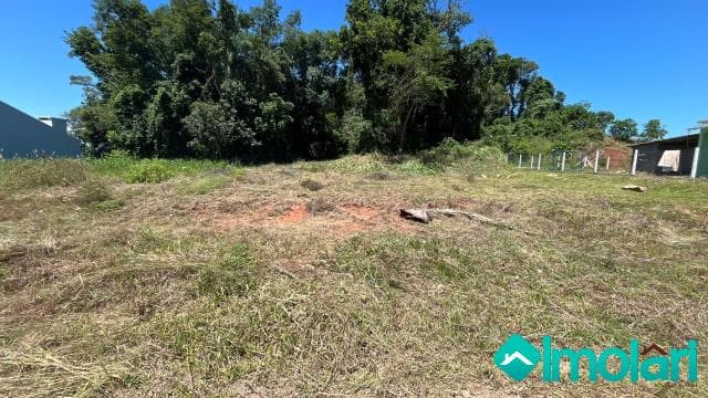 Venda de Terreno / Padrão na cidade de Vera Cruz