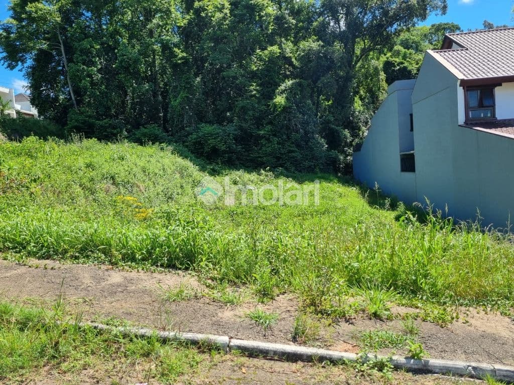 Venda de Terreno / Padrão na cidade de Santa Cruz do Sul