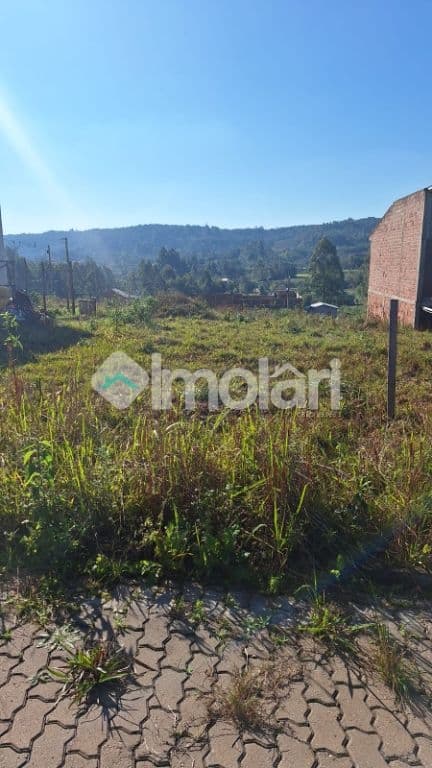 Venda de Terreno / Padrão na cidade de Vera Cruz
