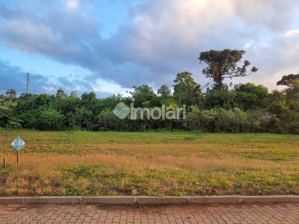 Venda de Terreno / Padrão na cidade de Santa Cruz do Sul