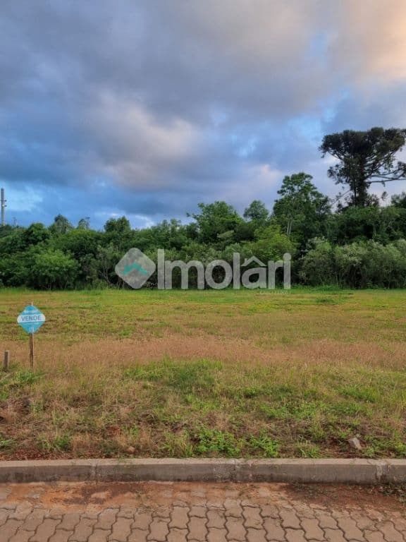 Venda de Terreno / Padrão na cidade de Santa Cruz do Sul