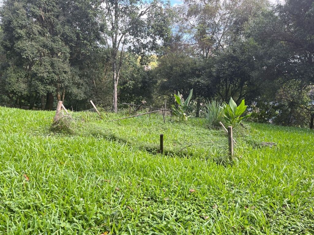 Terreno à venda no bairro Santo Inácio, Santa Cruz do Sul