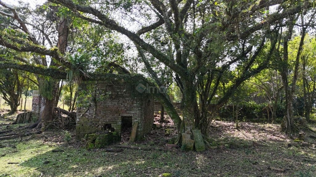 Terreno Rural à Venda em Linha Pinheiral, Santa Cruz do Sul - Oportunidade Única!