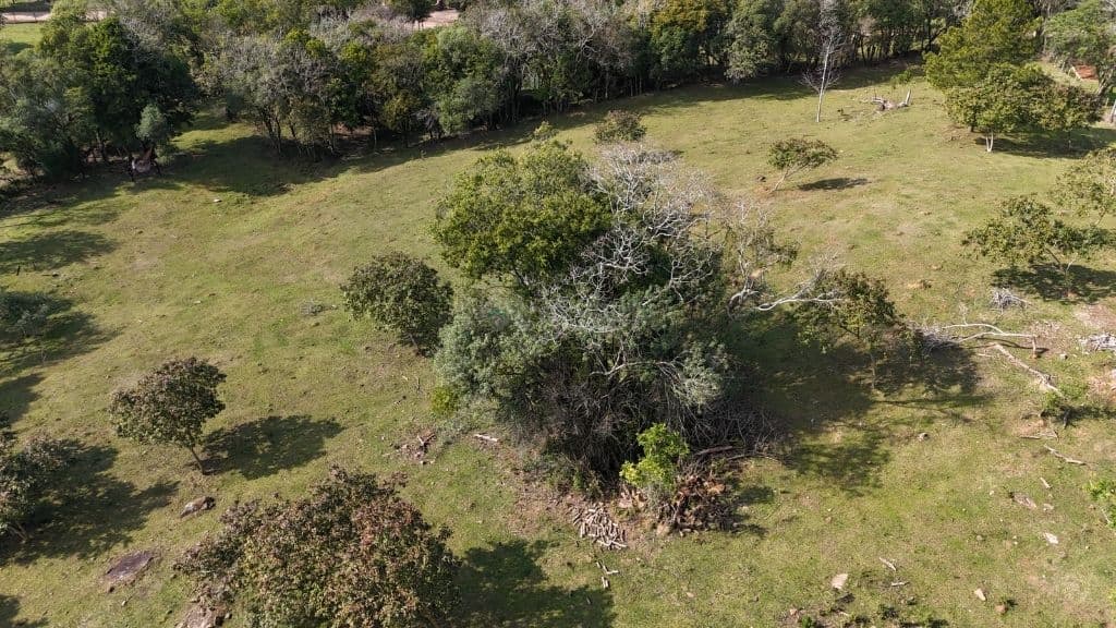 Propriedade única á venda!!