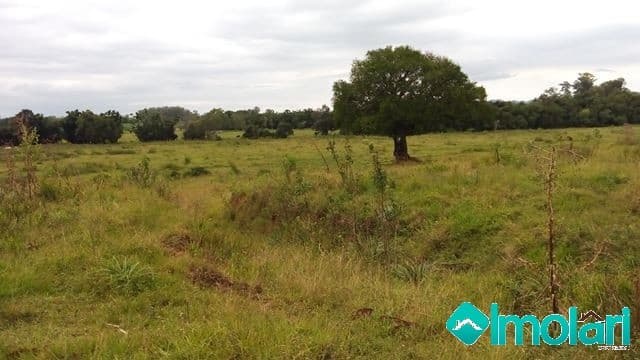 Venda de Rural / Chácara na cidade de Passo do Sobrado