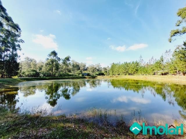 Venda de Rural / Chácara na cidade de Passo do Sobrado
